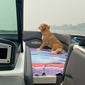 Meet your Posher, Cory